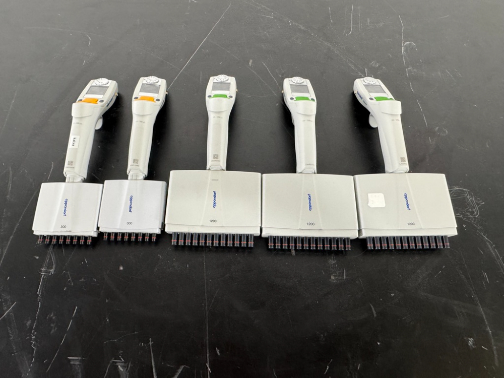 Image of Eppendorf Xplorer Plus Electronic Multichannel Pipettes - Quantity 5